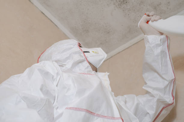 Best DIY Mold Remediation Support Services in Gifford, FL